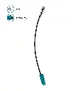 2899.01-02.webp