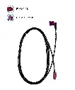 2504.10-02_1920x1920.webp