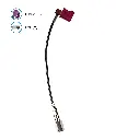 2436.04-02.webp
